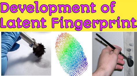 does the autoclave destroy latent fingerprints|latent fingerprint development procedures.